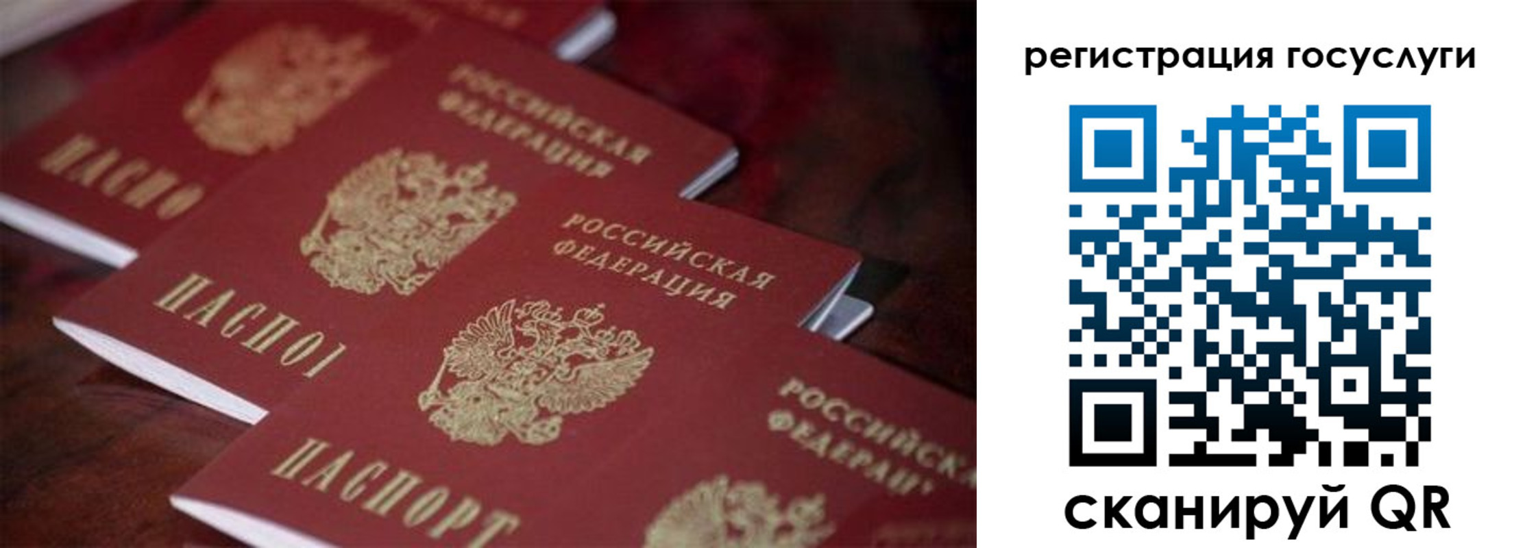 где прописаться в Ржеве